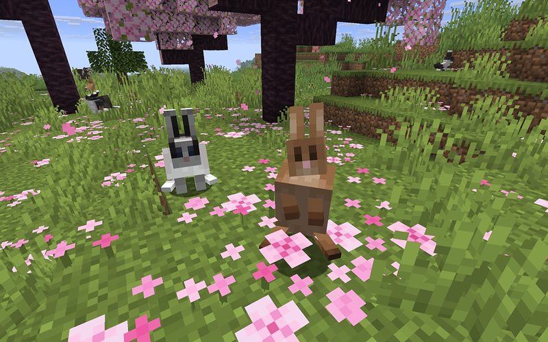 Rabbits in a pink cherry blossom grove